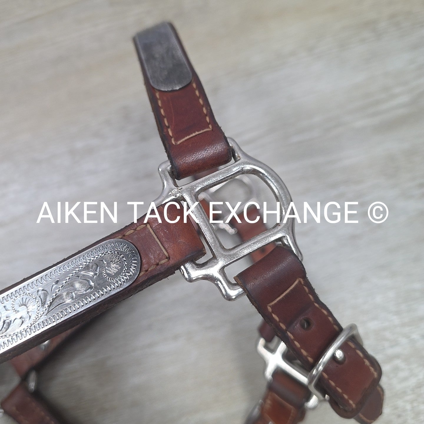 Western Show Halter, Size Foal