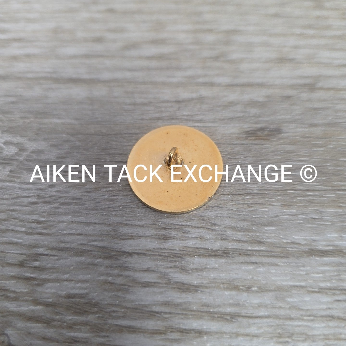 Tryon Hounds Brass Button, Large