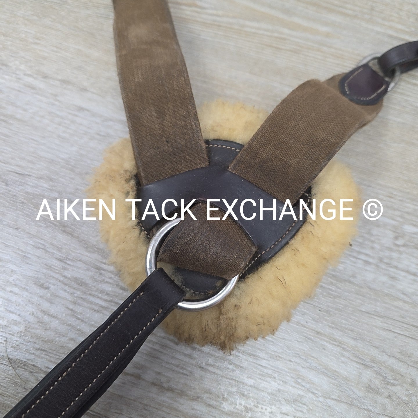 5 Point Breastplate, Brown, Size Full