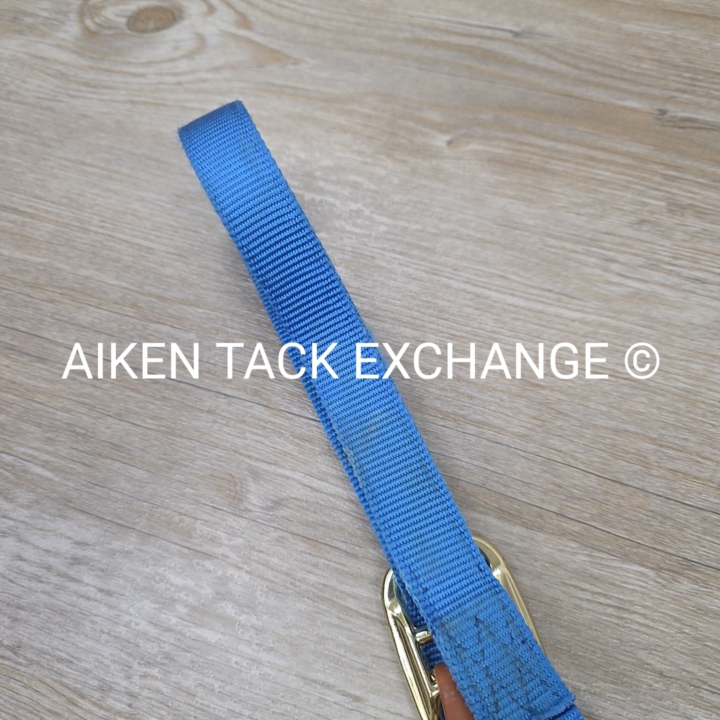Nylon Breakaway Halter, Size Large