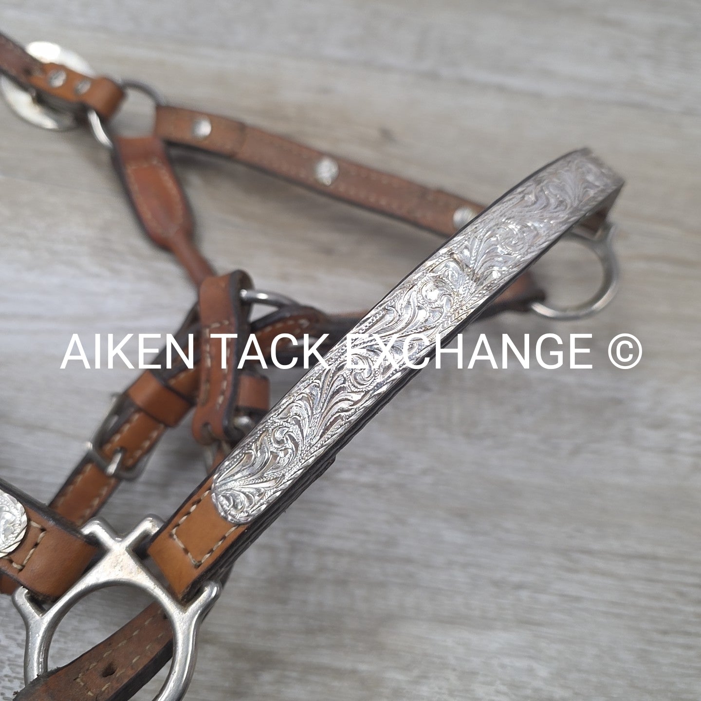 Western Show Halter