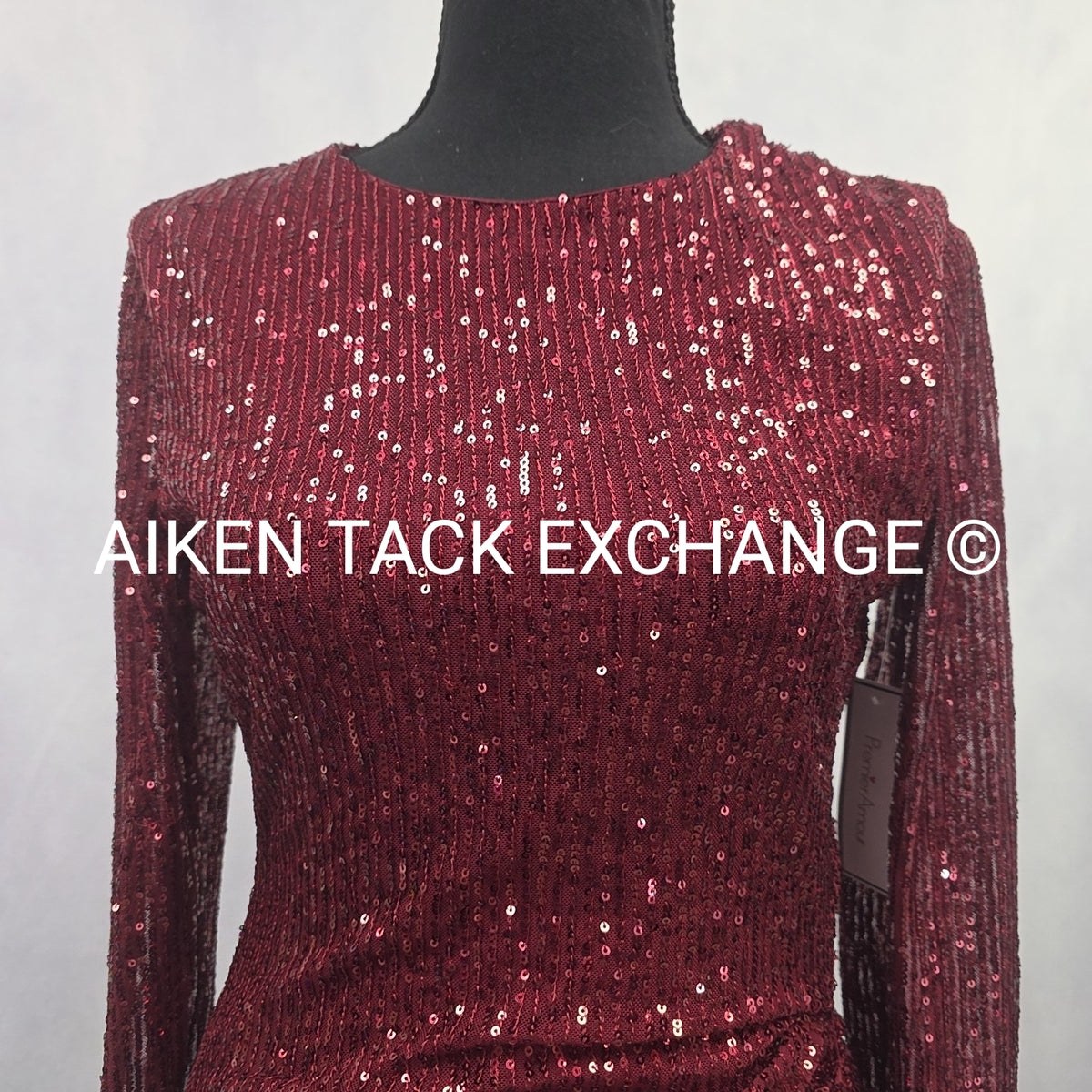 Premier Amour Long Sleeve Dress, Size 4