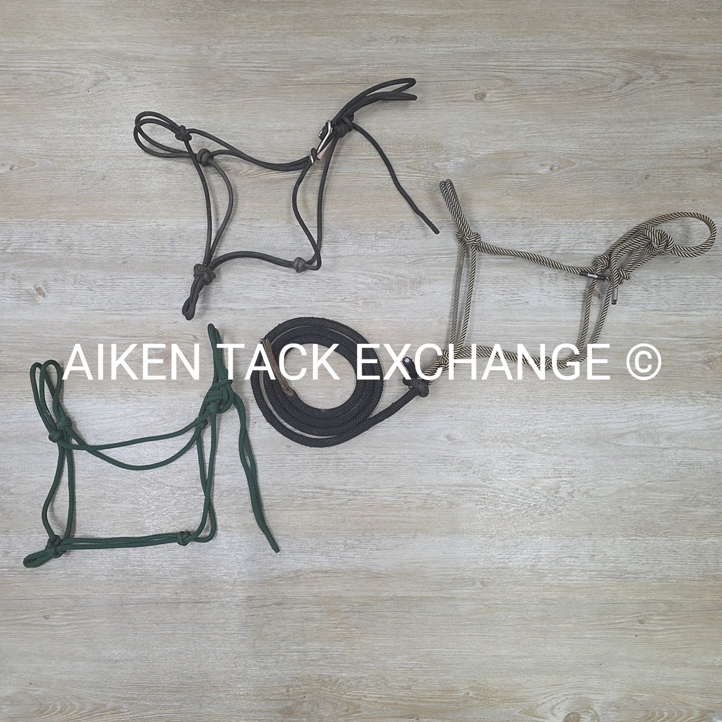 BARGAIN BUNDLE: 3 Rope Halters, 1 with Lead