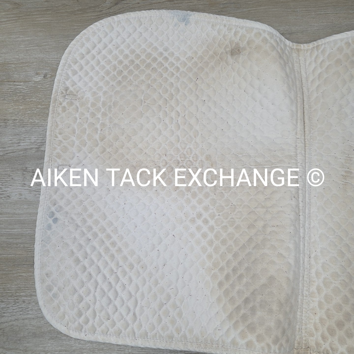 BARGAIN BUNDLE: 3 All Purpose Saddle Pads