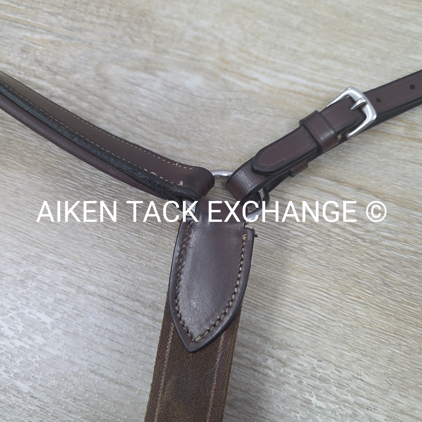 HDR Pro 5 Point Elastic Breastplate, Brown, Size Full