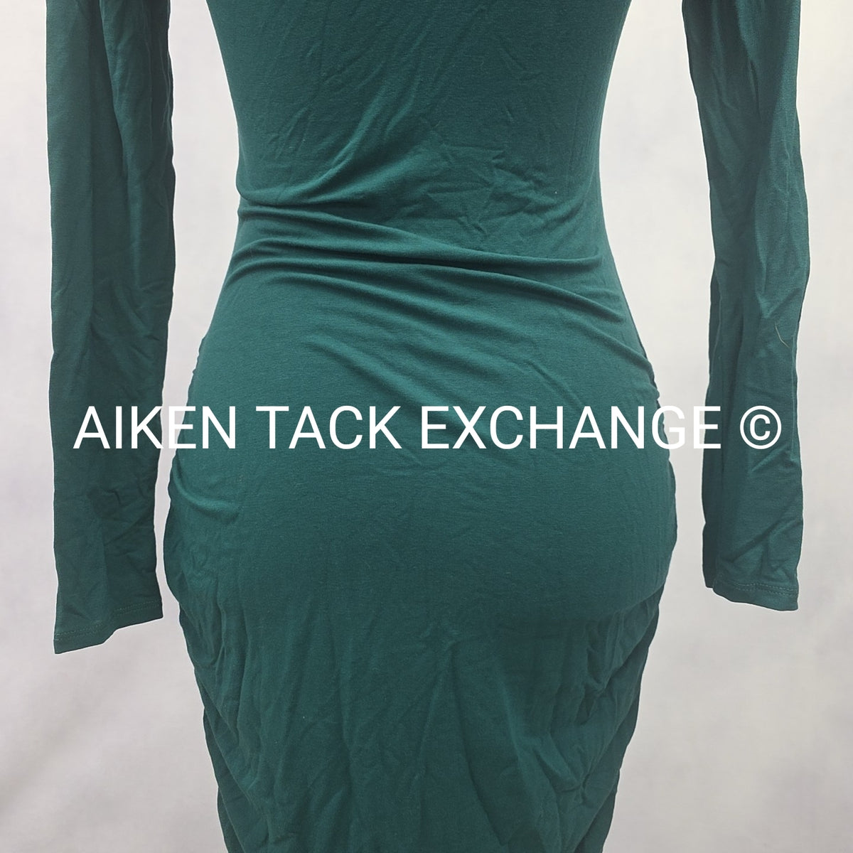 Venus Long Sleeve Dress, Size X-Small