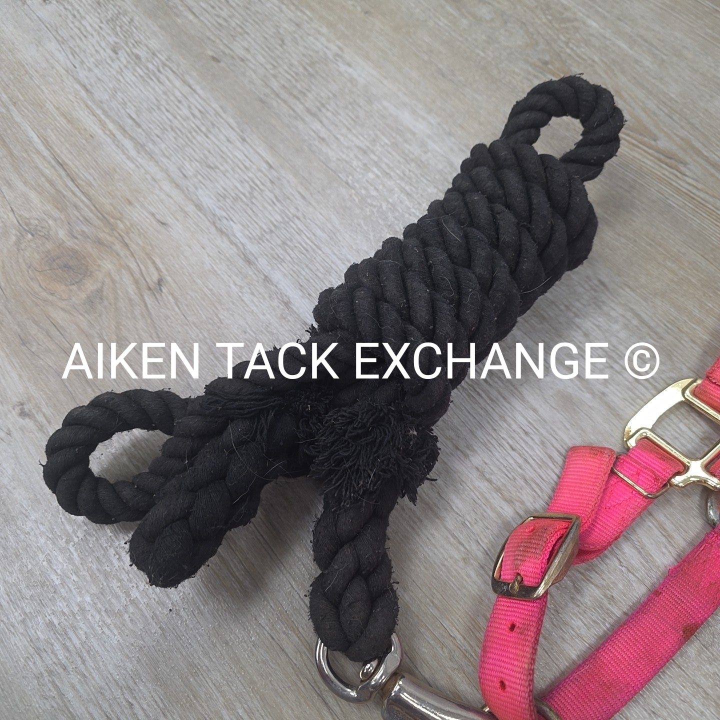 BARGAIN BUNDLE: 2 Nylon Halters & 2 Lead Ropes