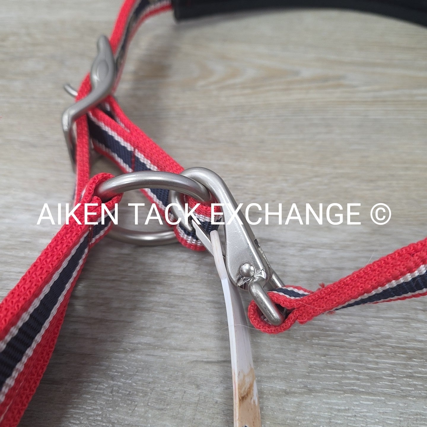 John Whitaker Halter, Size Cob