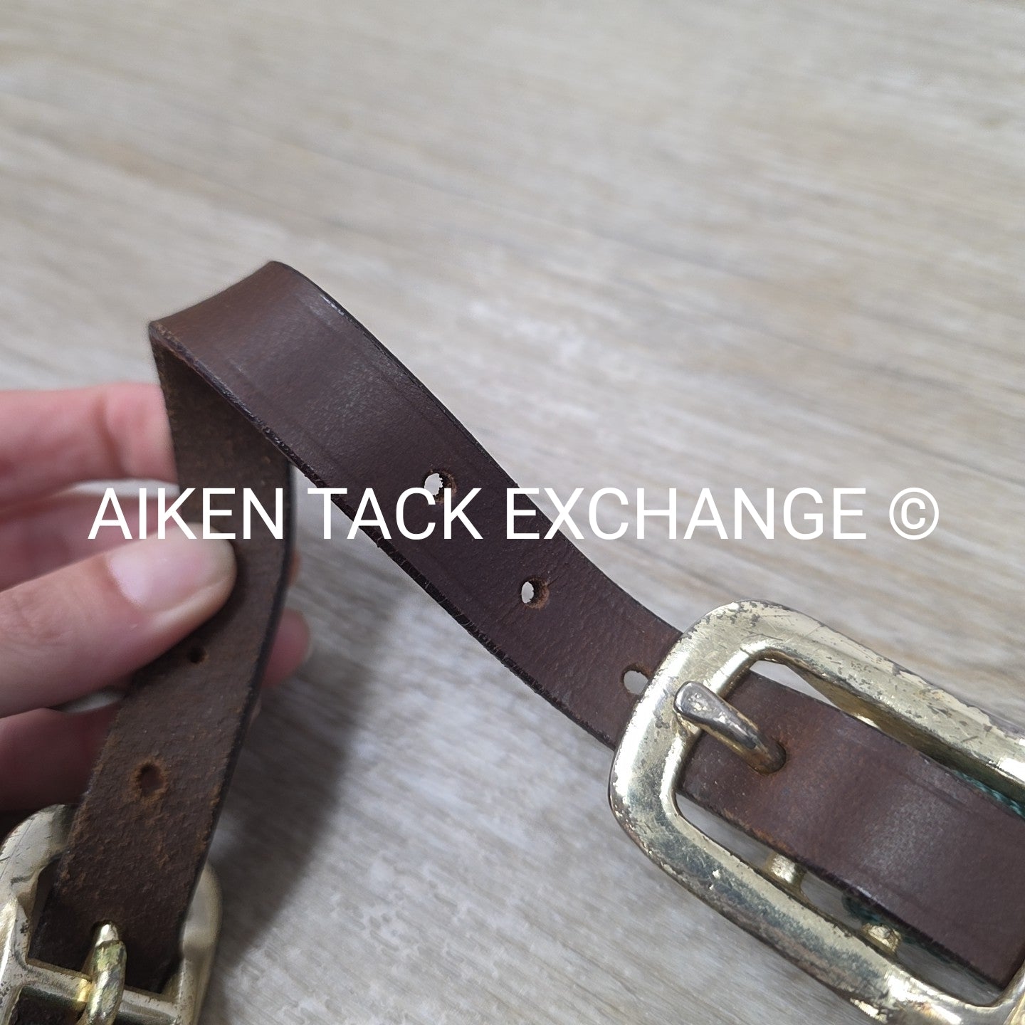 Hamilton Nylon Breakaway Halter, Size Foal