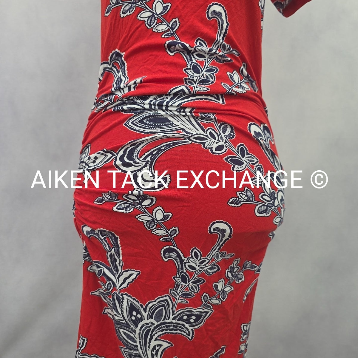 Venus T-Shirt Dress, Size X-Small