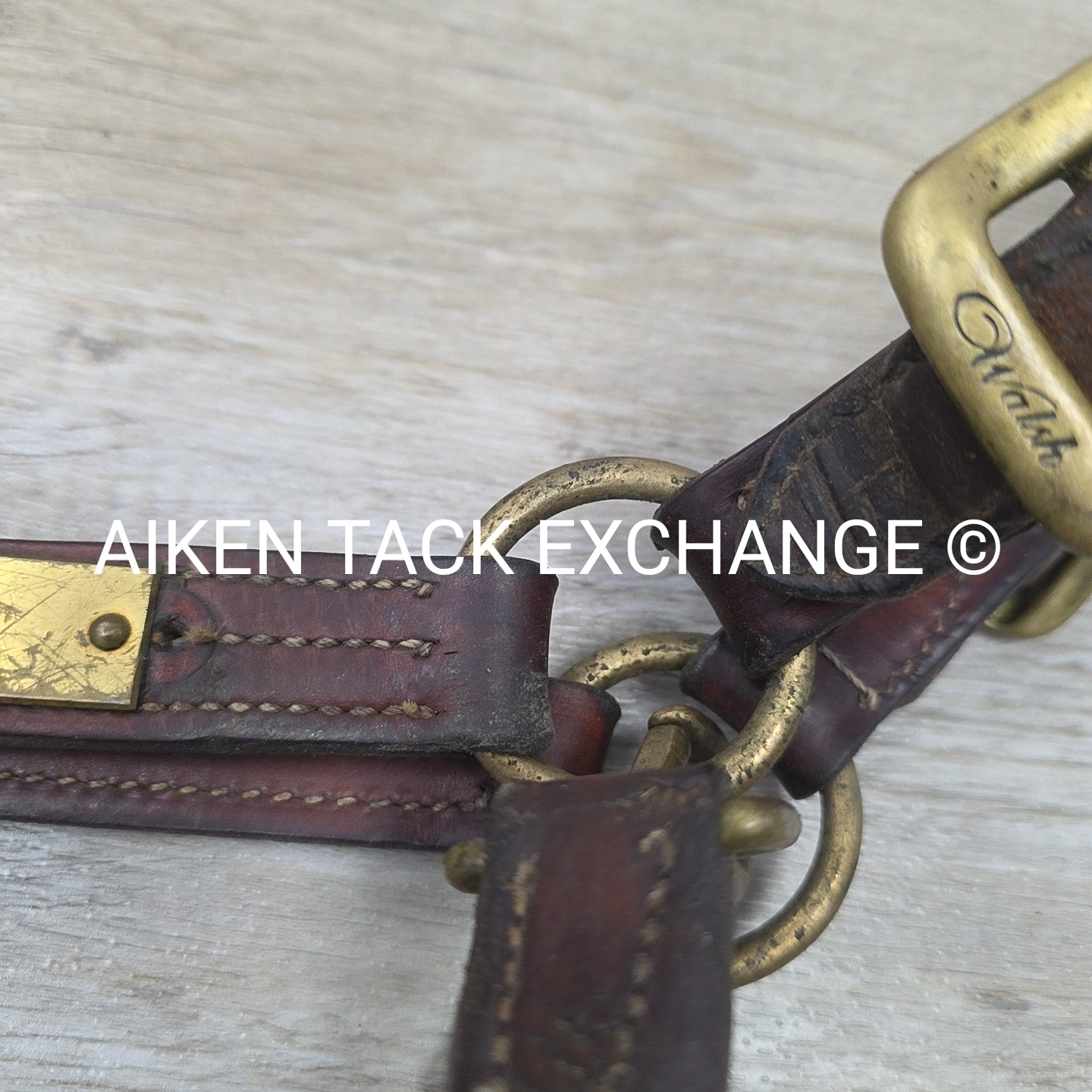Walsh Triple Stitched Leather Halter, Has Name Plate, Size Cob