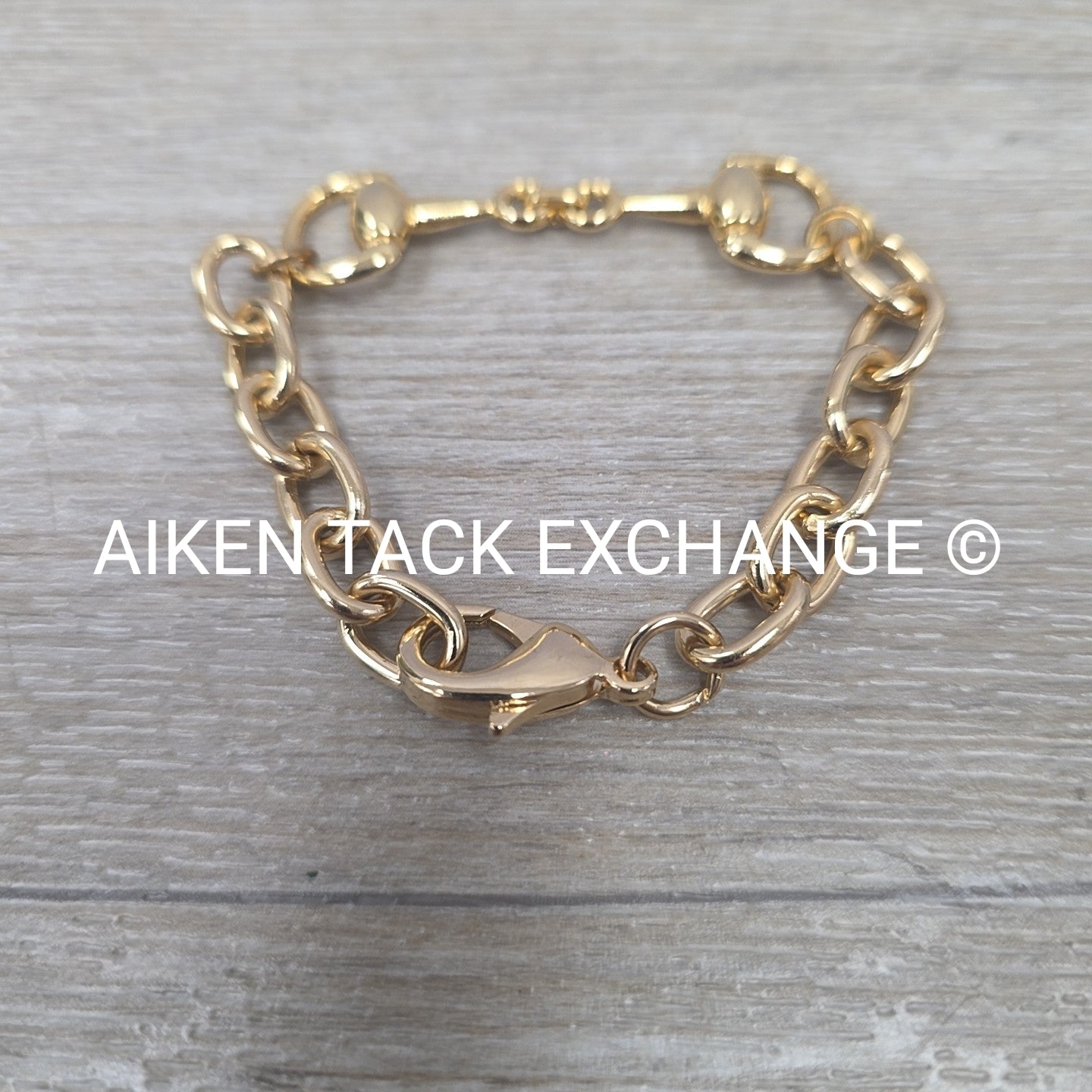 Snaffle Bit Chain Bracelet