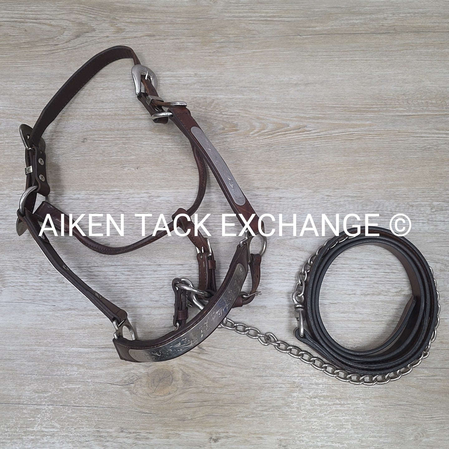 Circle Y Engraved Show Halter with Matching Lead, Size Full