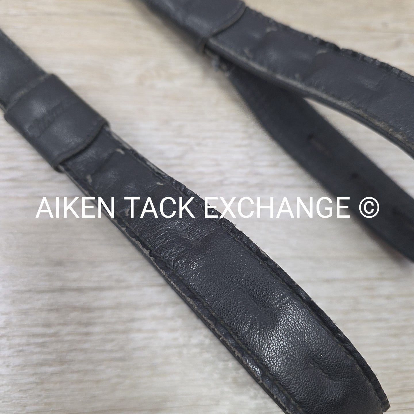 Wintec Webbers, Black