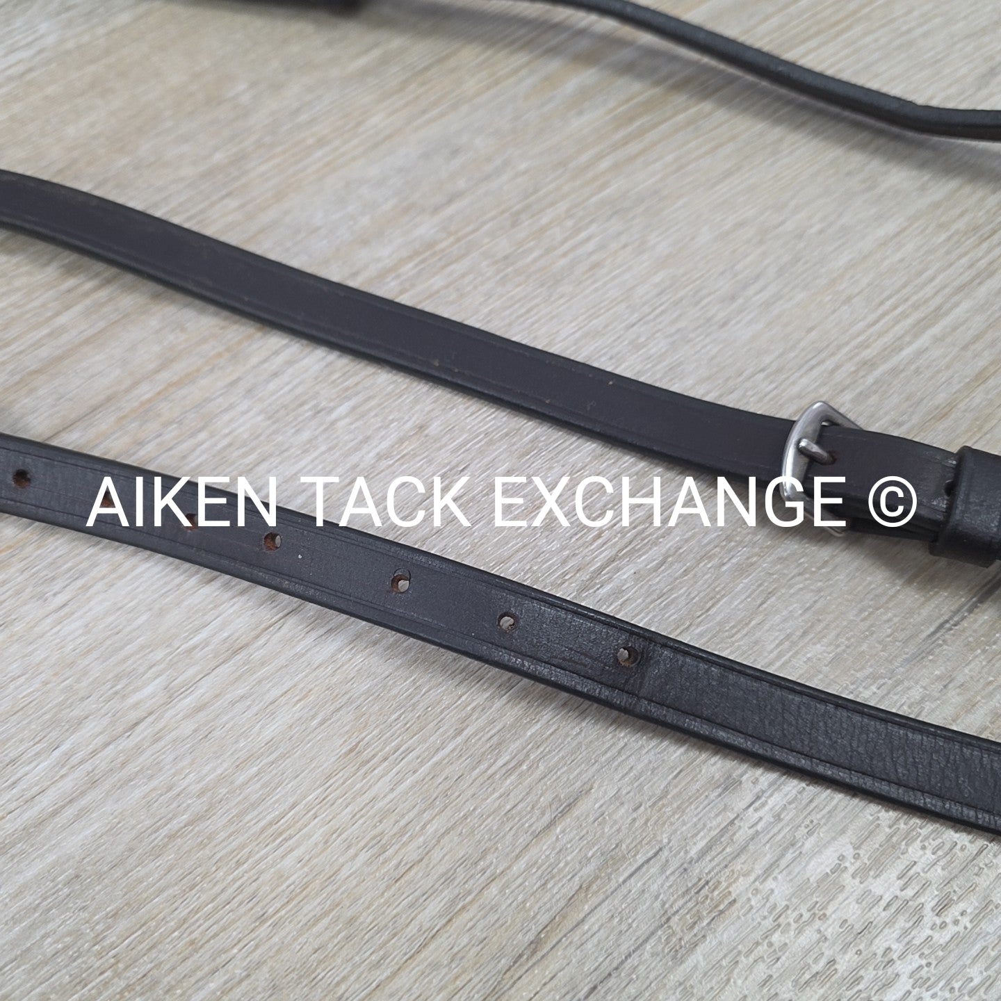Flat Adjustable Breastplate with Standing Martingale Attachment, Brown, Cob