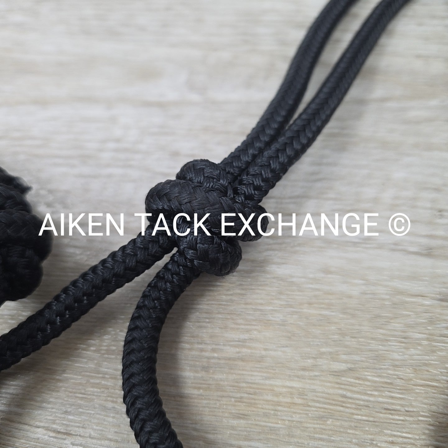 Rope Halter with Lead