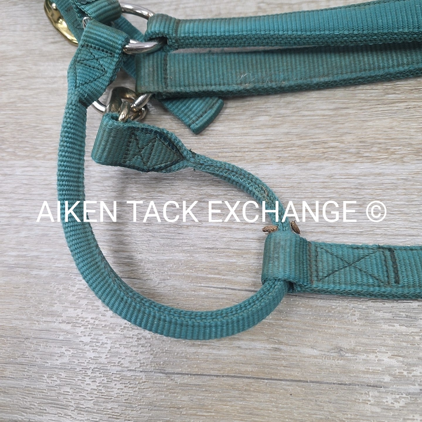 Big D Nylon Halter, Size Full