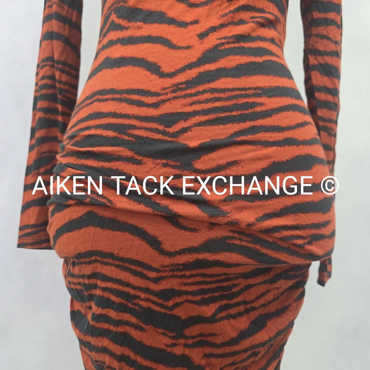 Venus Long Sleeve Dress, Size X-Small