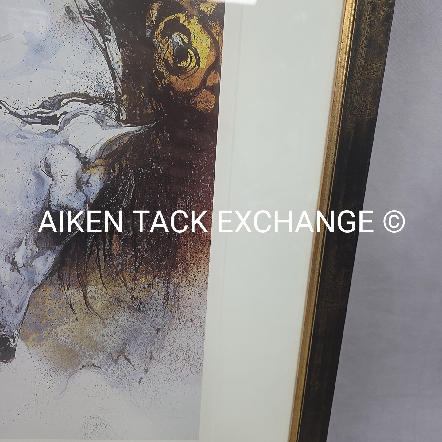 Horse Print, Matted & Framed, 22" x 29"