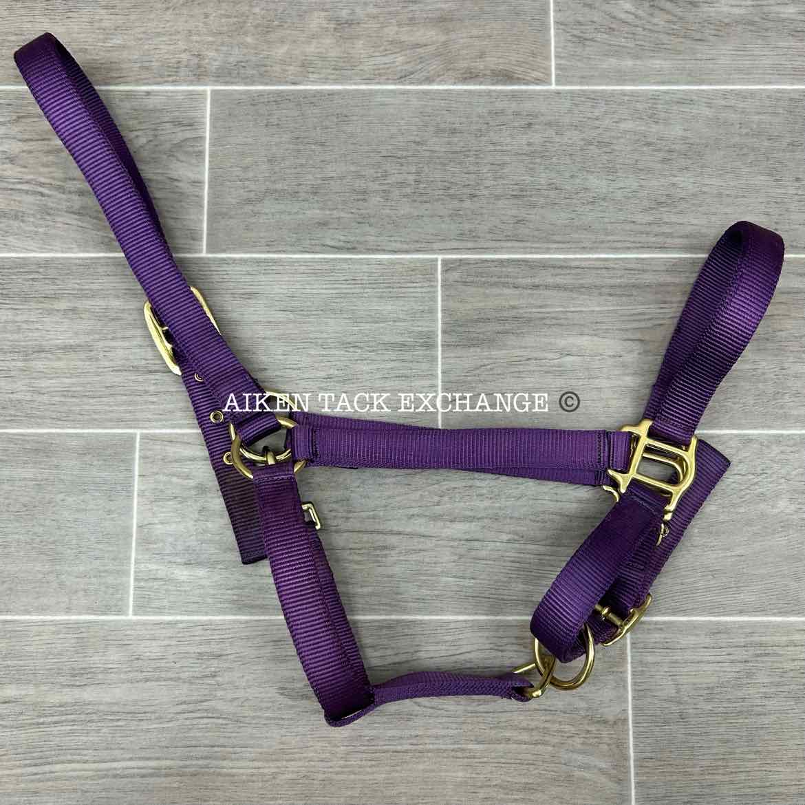 Dover Saddlery Heavy Nylon Halter, Oversize