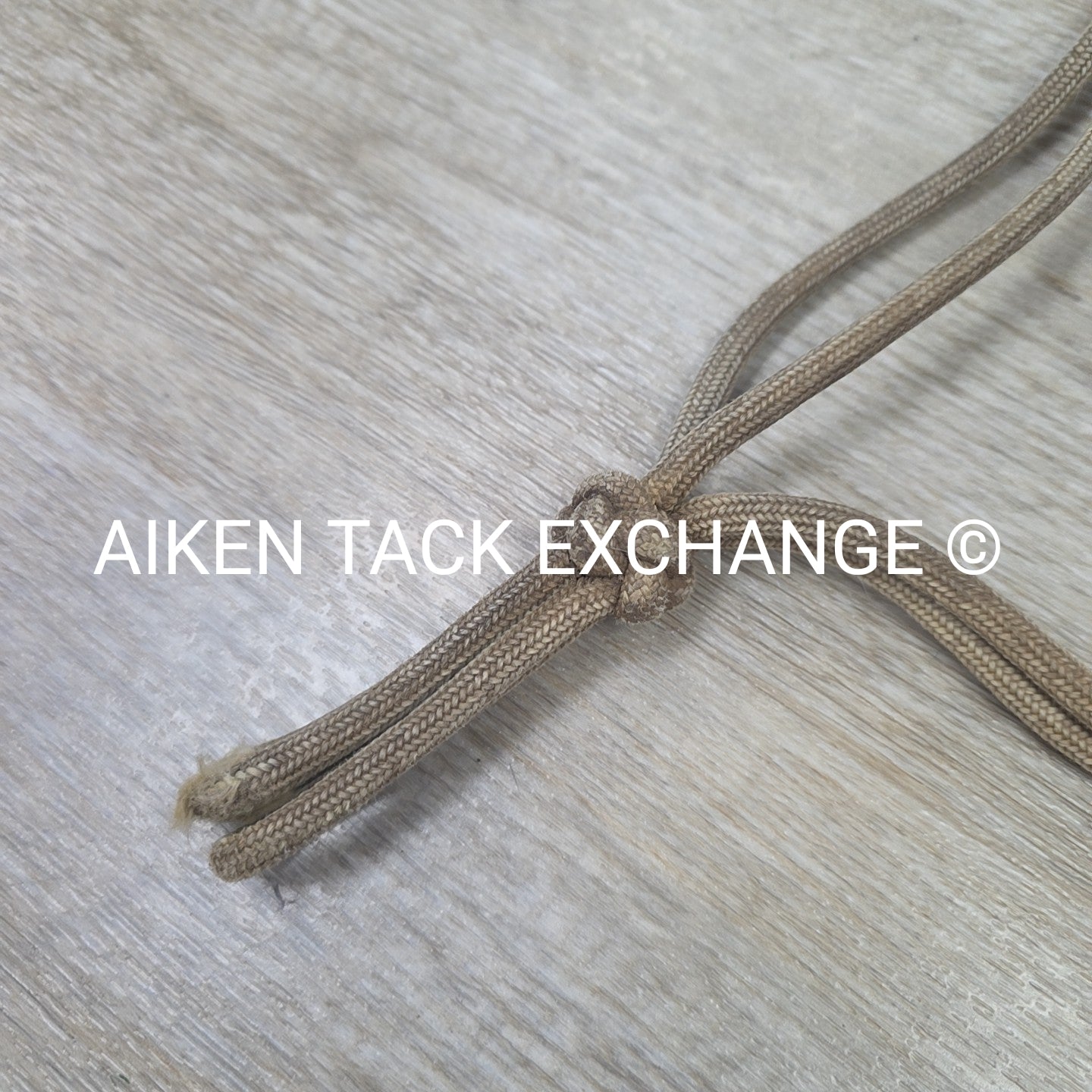 BARGAIN BUNDLE: 3 Rope Halters & 2 Leads