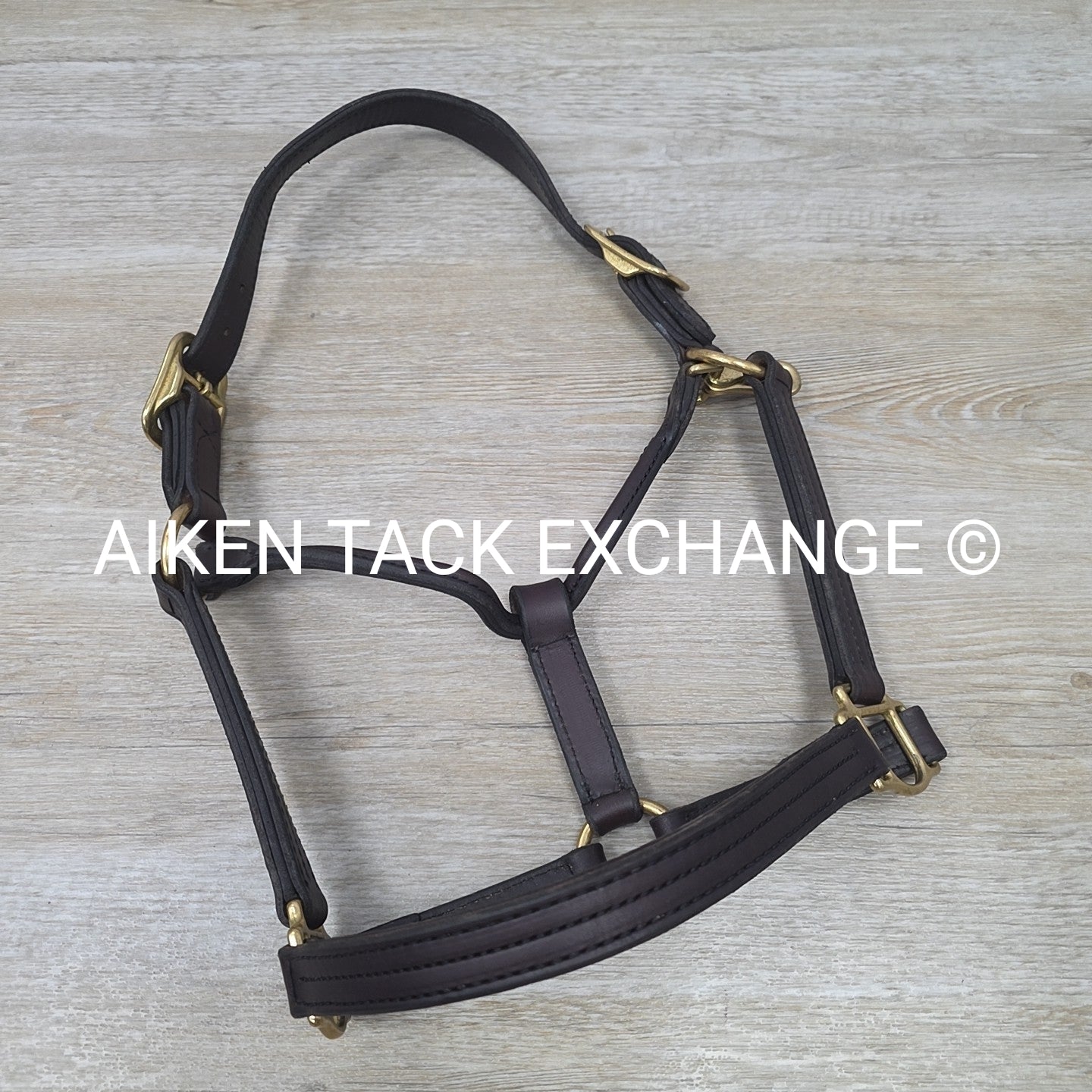 Perri's Heavy Duty Track Halter w/ Snap, Size Cob