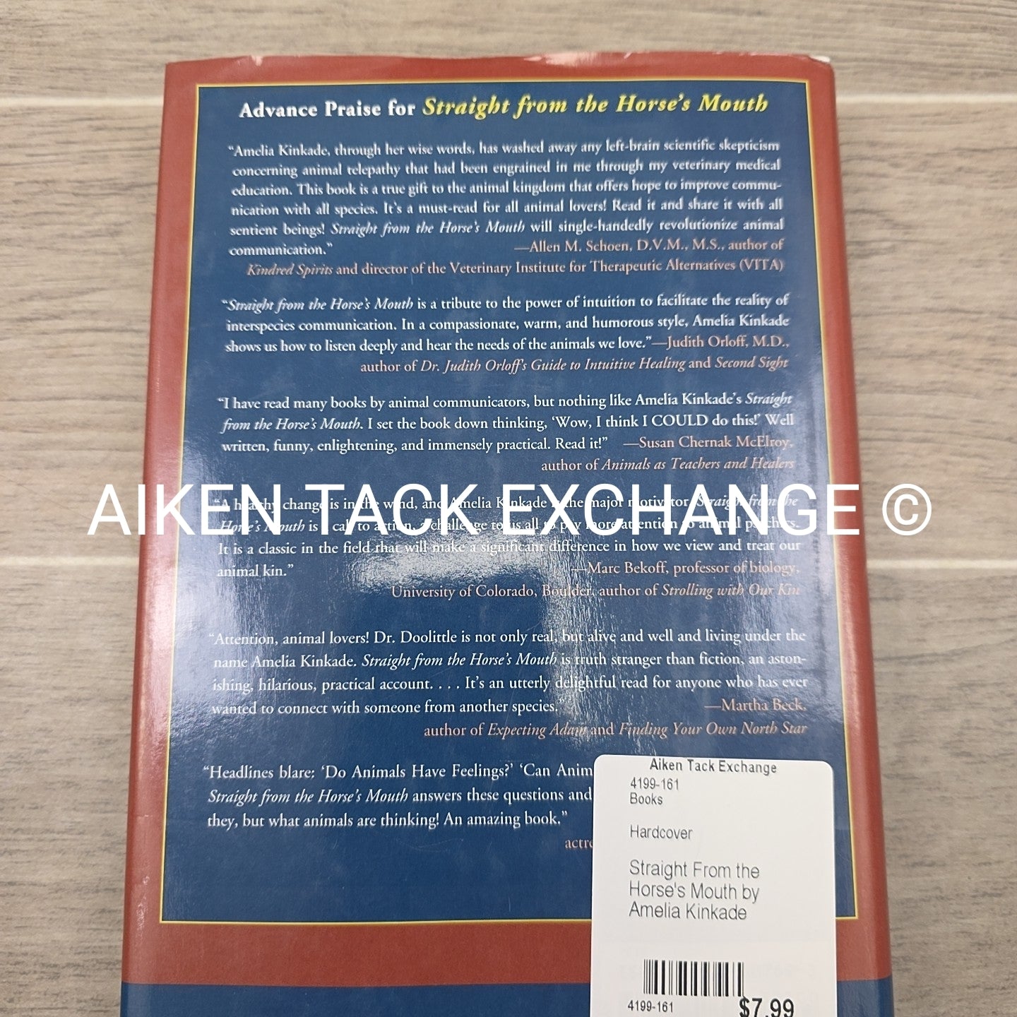 Straight From the Horse's Mouth by Amelia Kinkade
