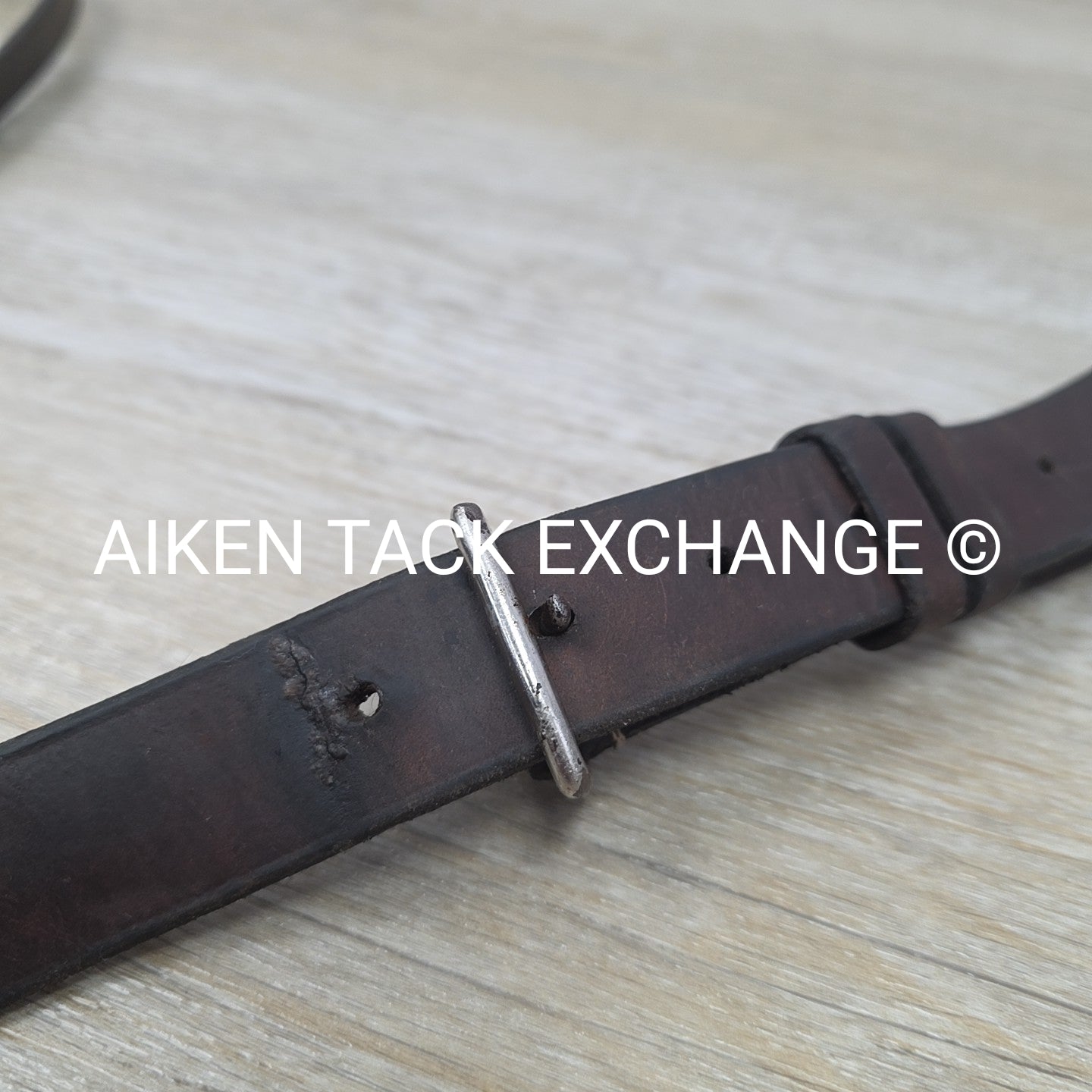 Horse Country First Flight Standing Martingale, Brown, Oversize