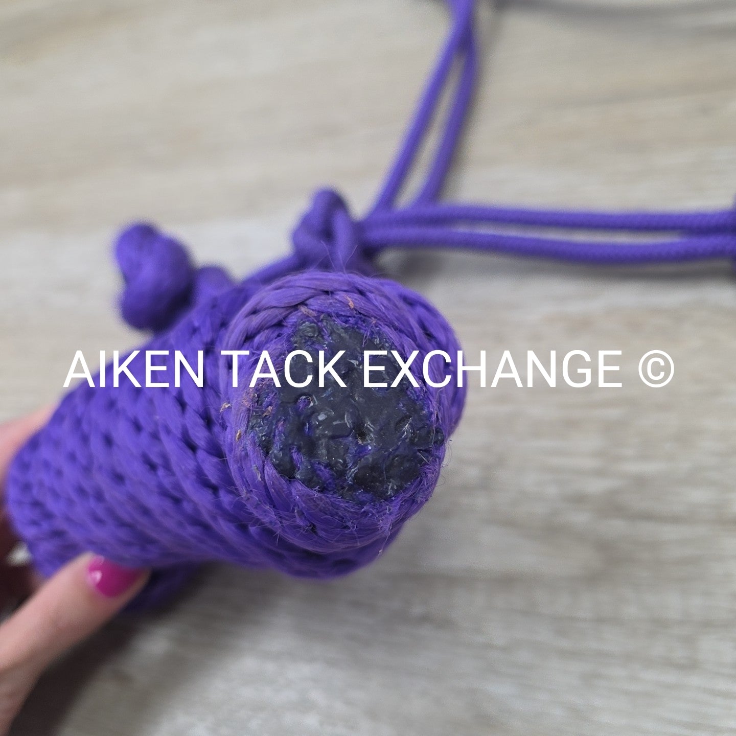 Rope Halter with Lead