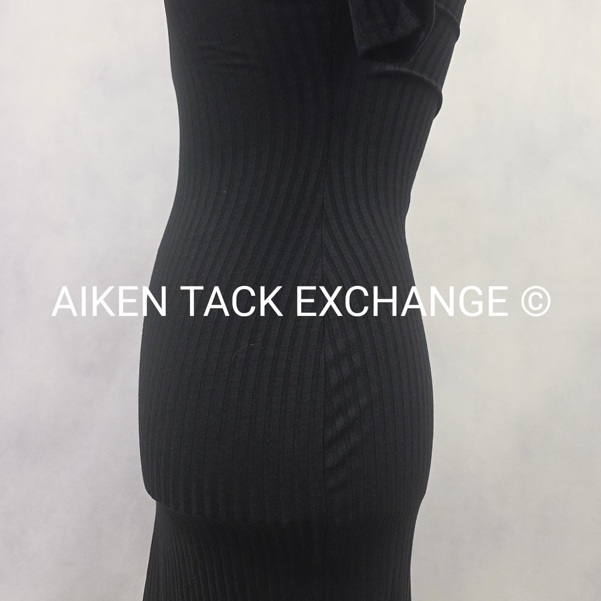 Venus Dress, Size X-Small