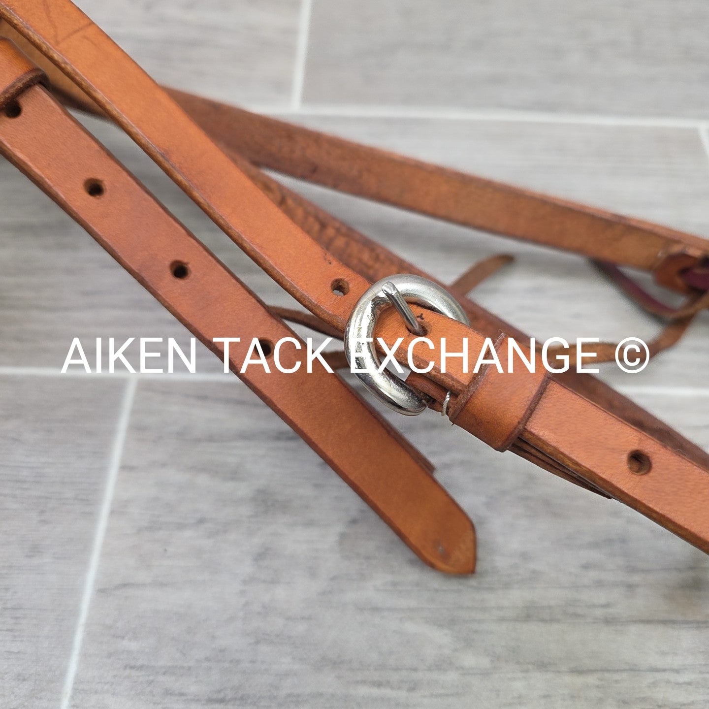 Western Bridle with Customized Browband & Reins