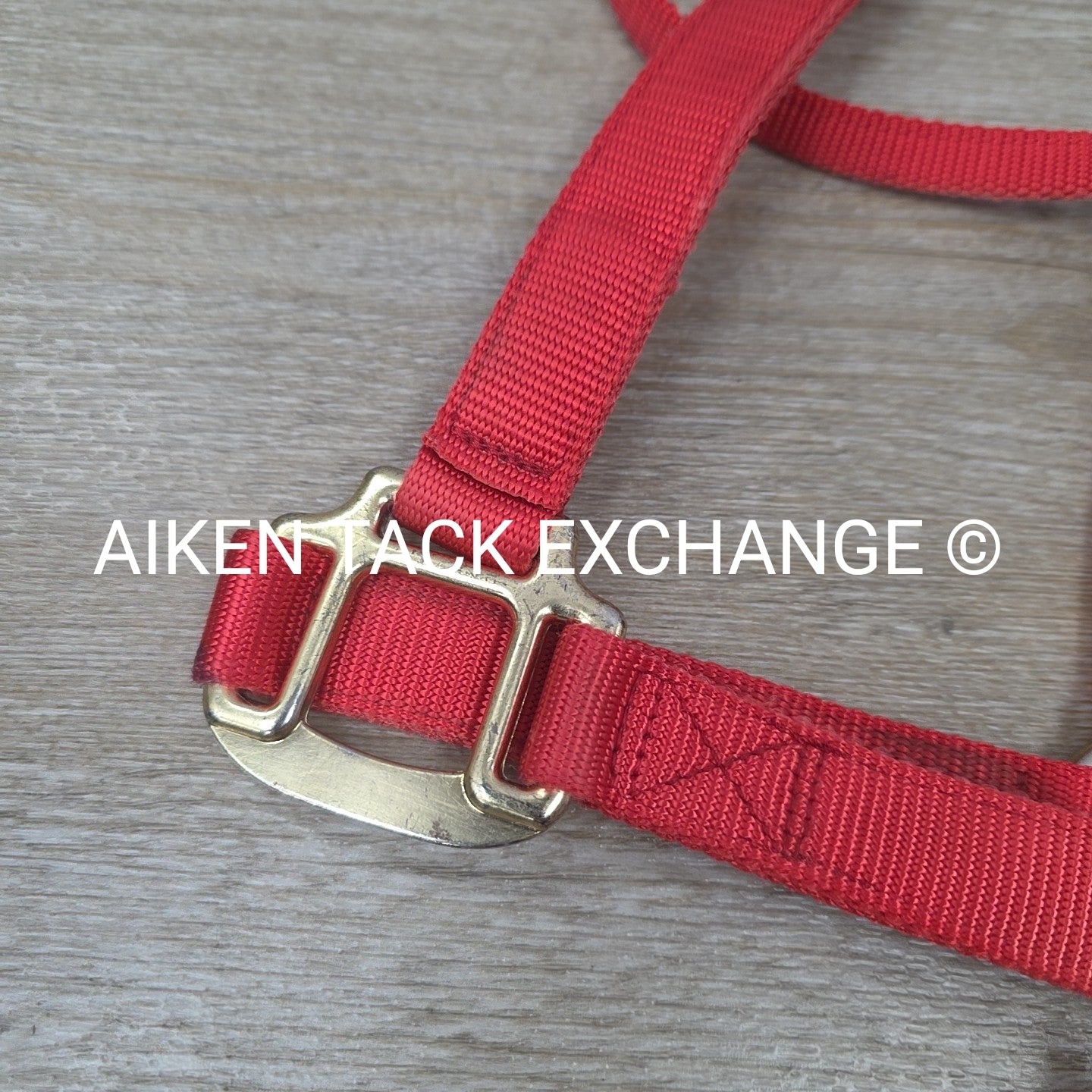 BARGAIN BUNDLE: Nylon Halter, Large, Nylon Halter Missing Crown, Full & Lead Rop