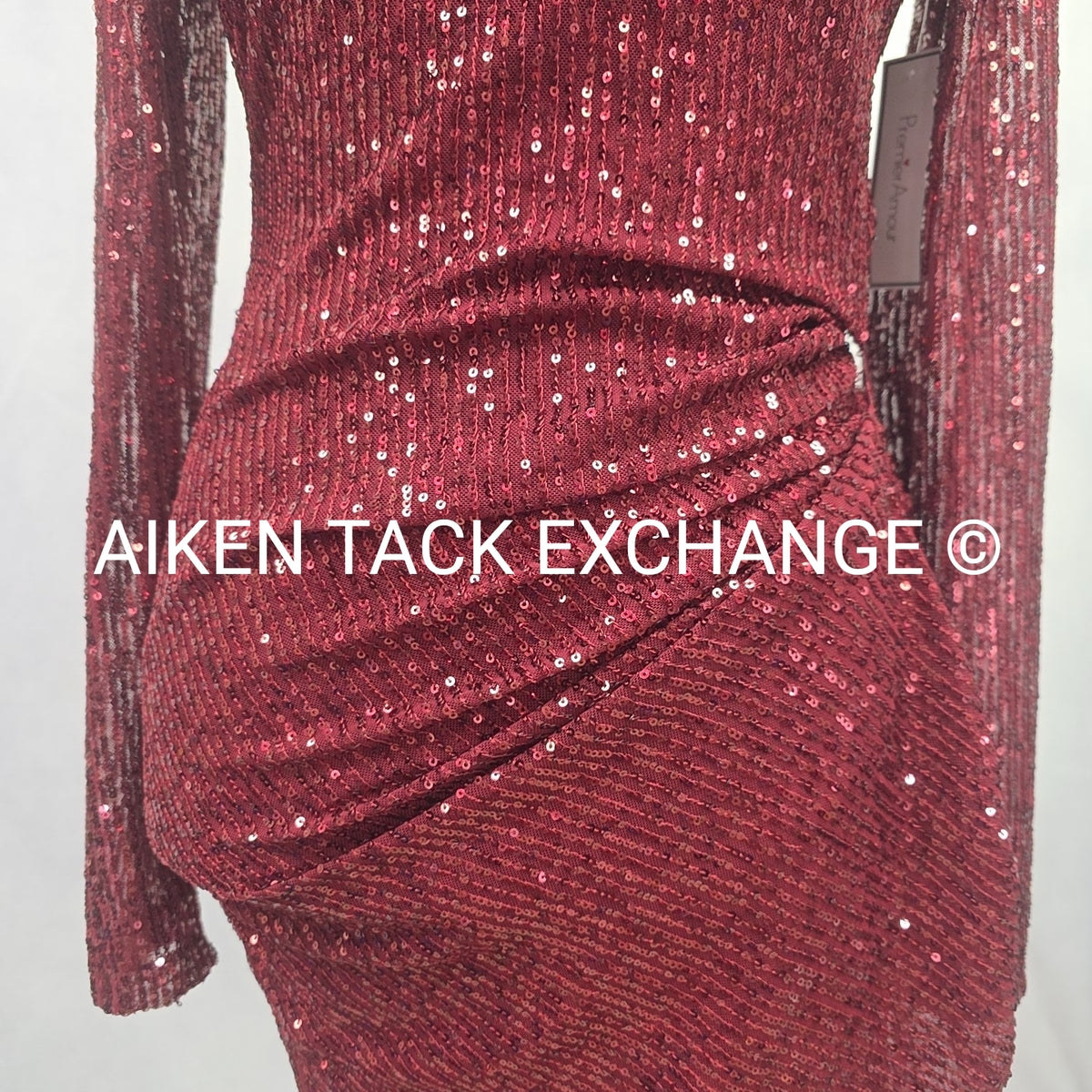 Premier Amour Long Sleeve Dress, Size 4