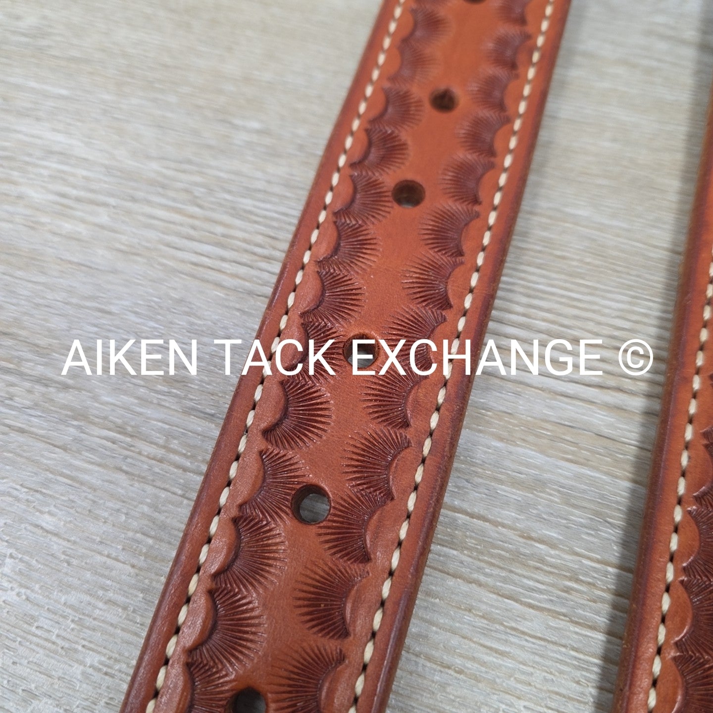 Rear Cinch Billets with Extenders