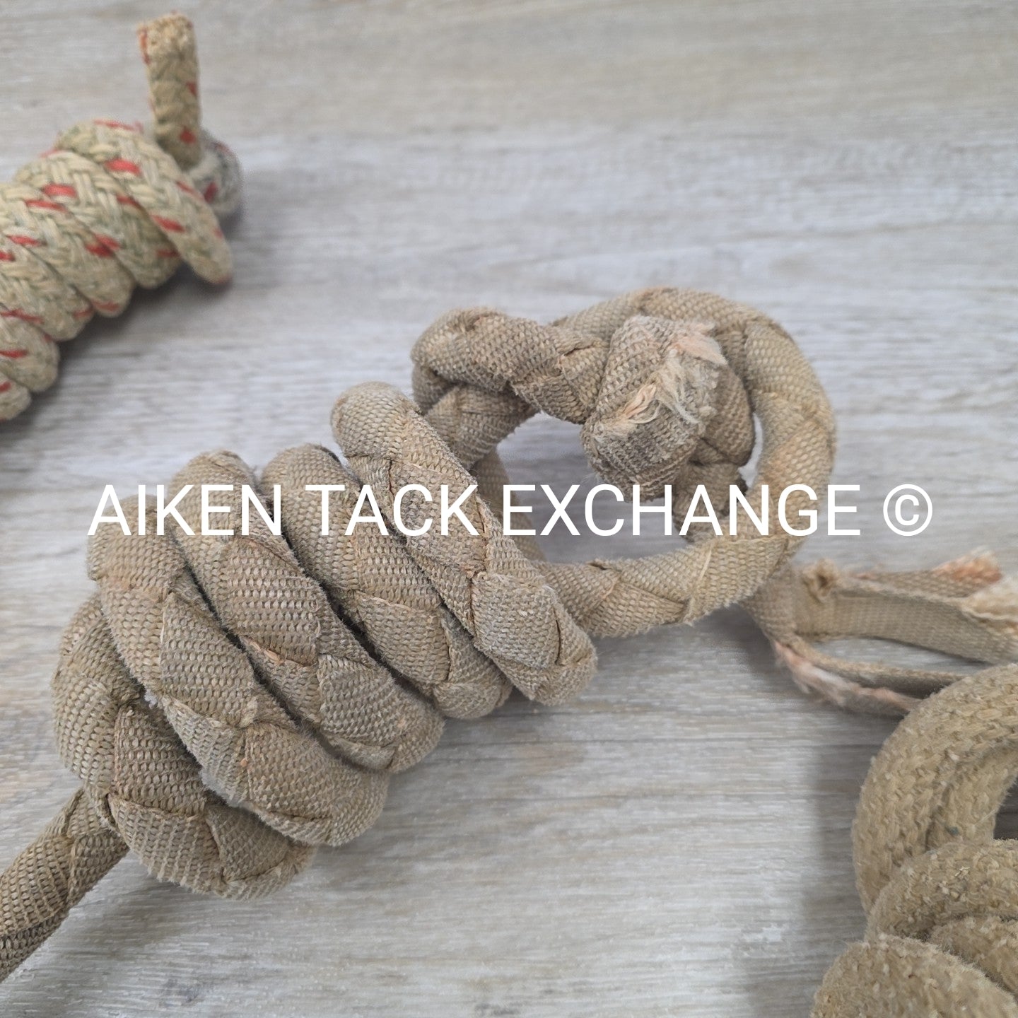 BARGAIN BUNDLE: 3 Lead Ropes