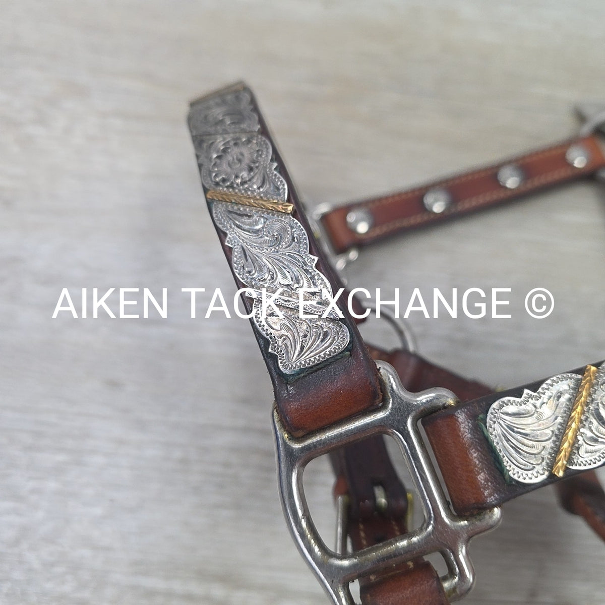 Western Show Halter, Size Foal