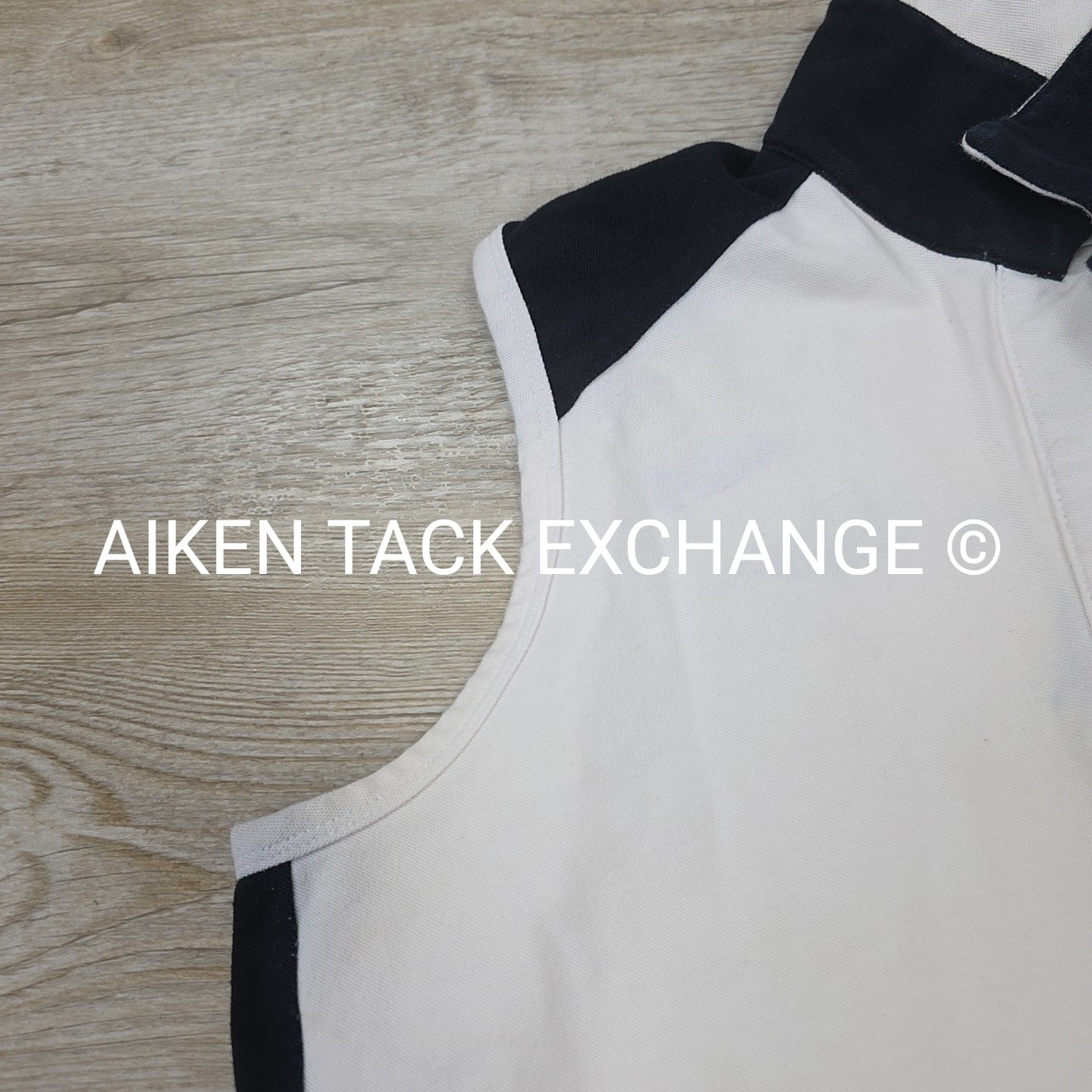BARGAIN BUNDLE: 2 Connoisseur Equestrian Collection Sleeveless Tops, Size Small