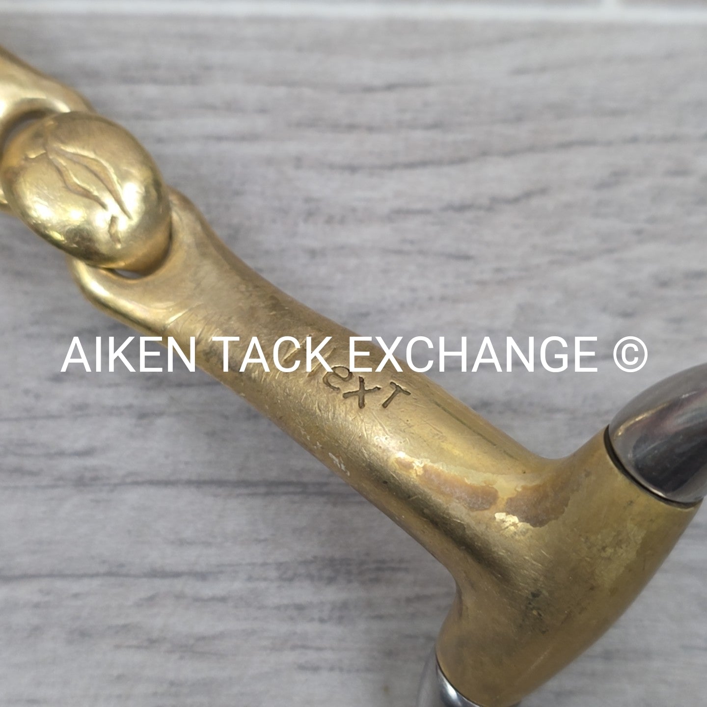 Neue Schule Turtle Top Eggbutt Bit 5.25"