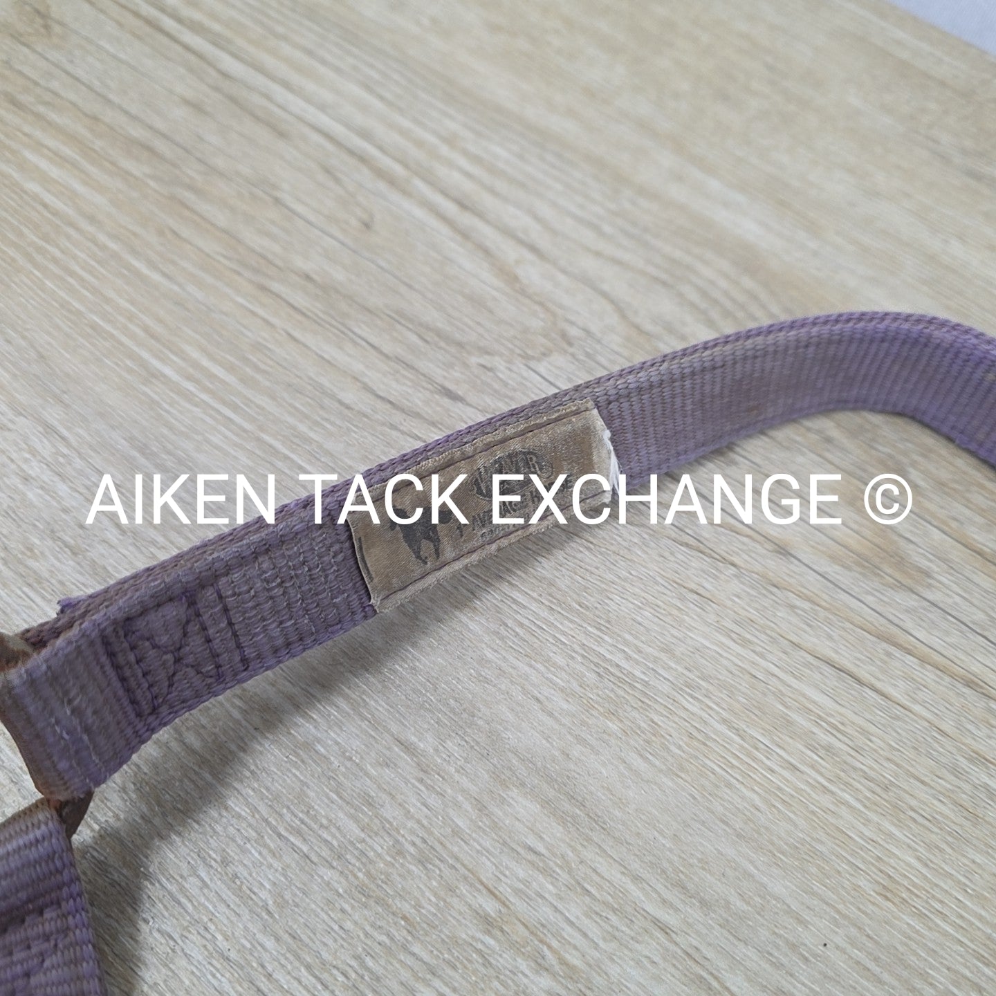 BARGAIN BUNDLE 4 Weaver Leather Nylon Halters, Size Horse