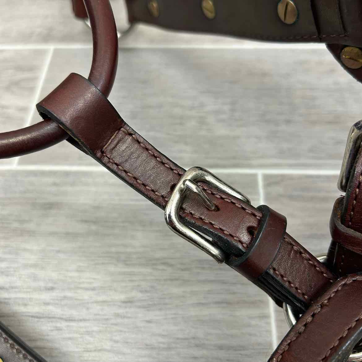 Kathy's Show Equipment #250 Santana Halter with Matching Leather Show Lead