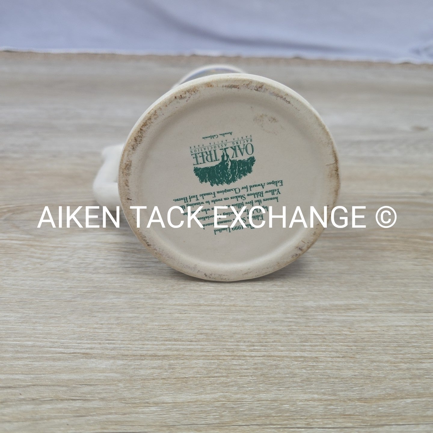 Oak Tree Racing Stein
