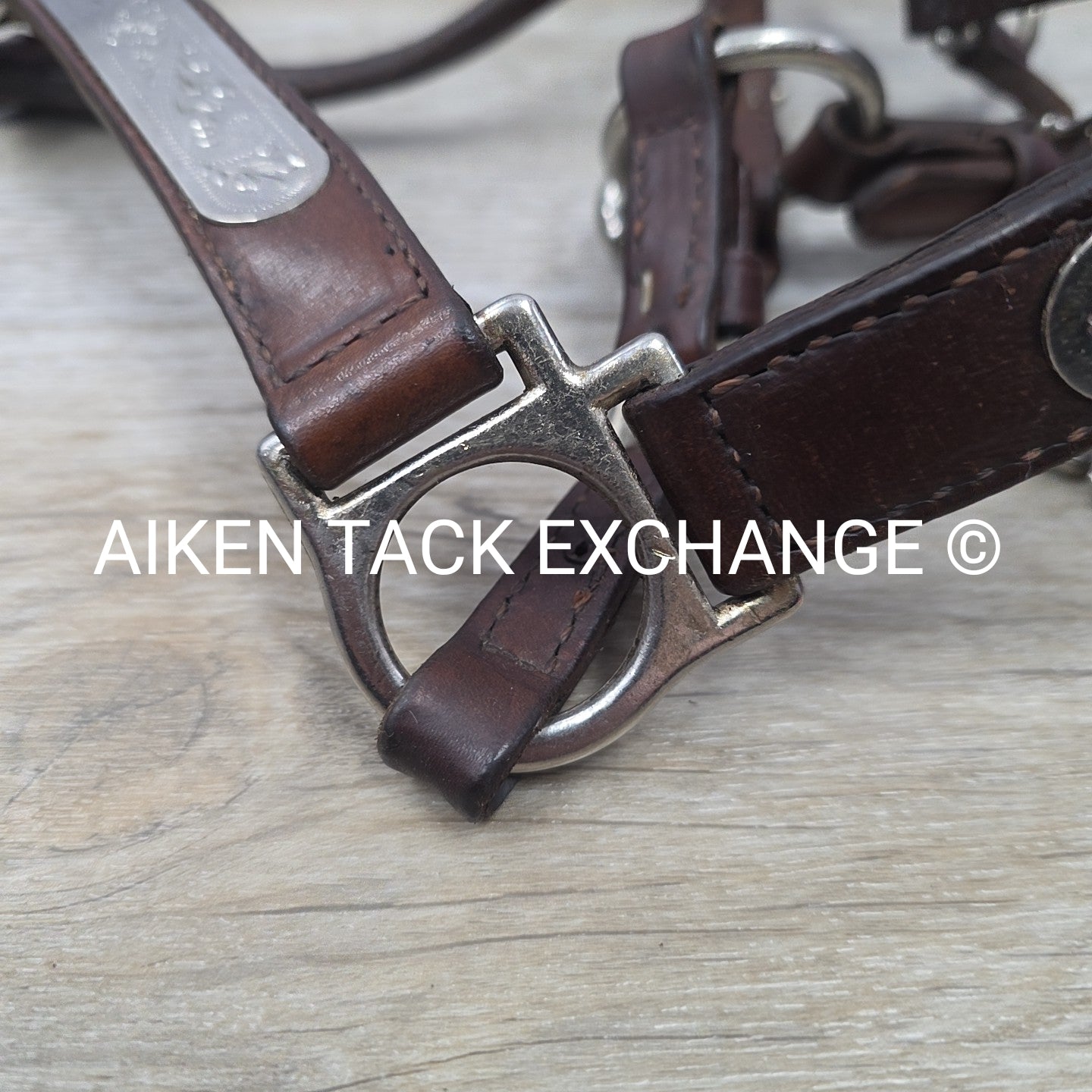 Circle Y Engraved Show Halter with Matching Lead, Size Full