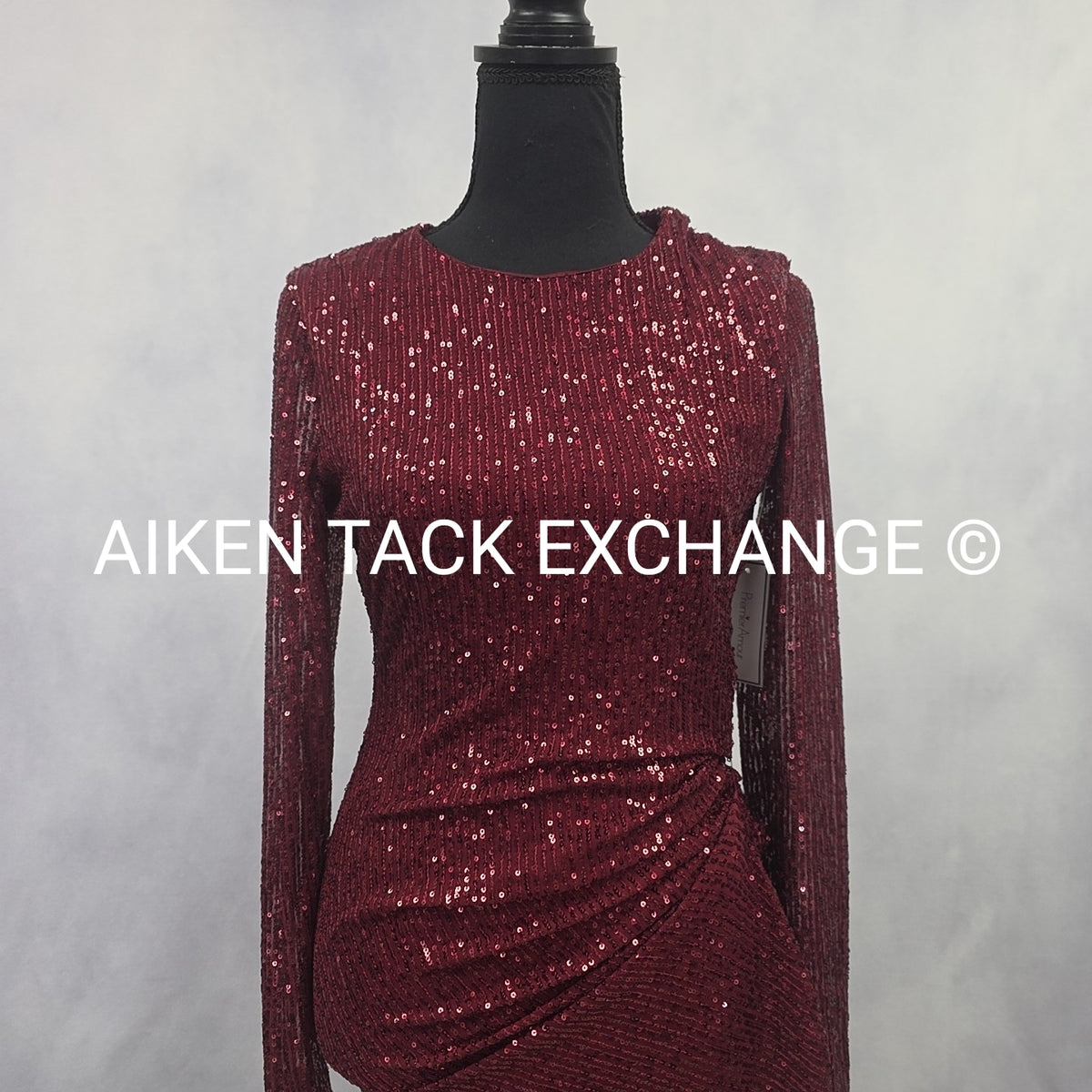 Premier Amour Long Sleeve Dress, Size 4