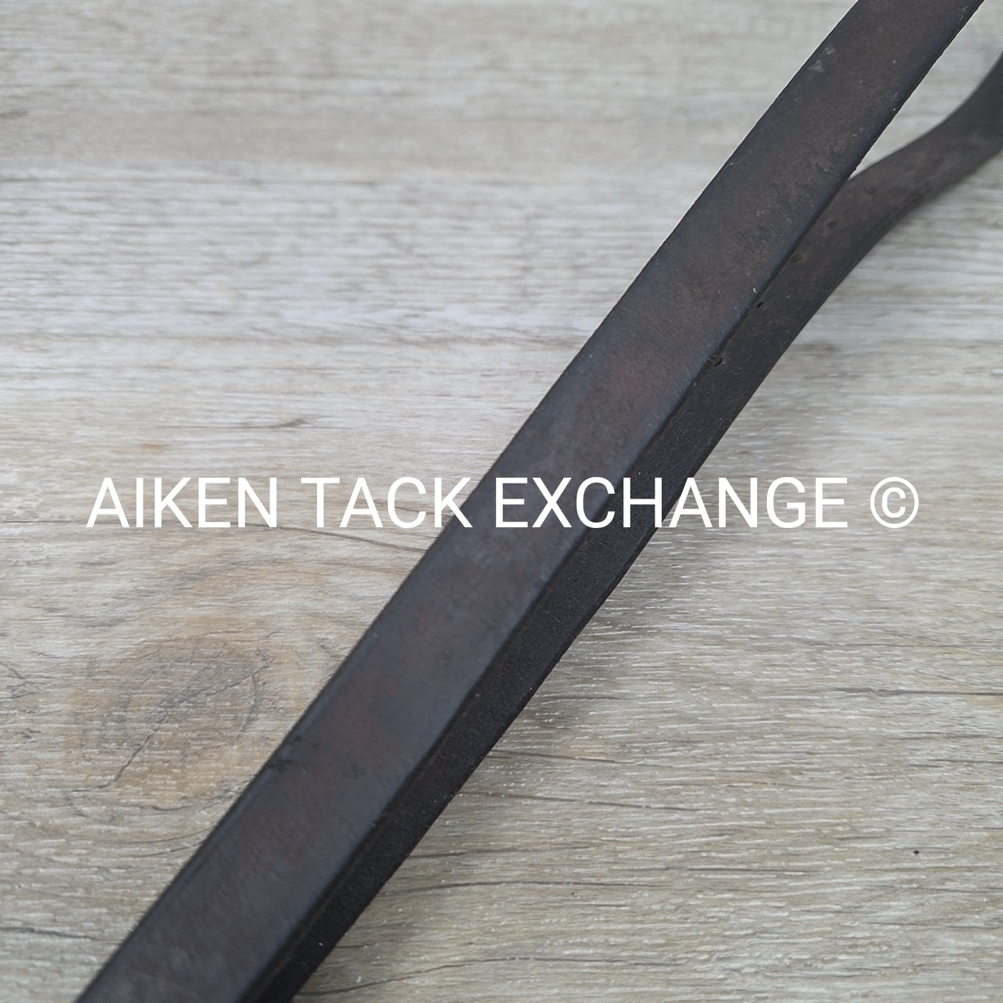 Horse Country First Flight Standing Martingale, Brown, Oversize