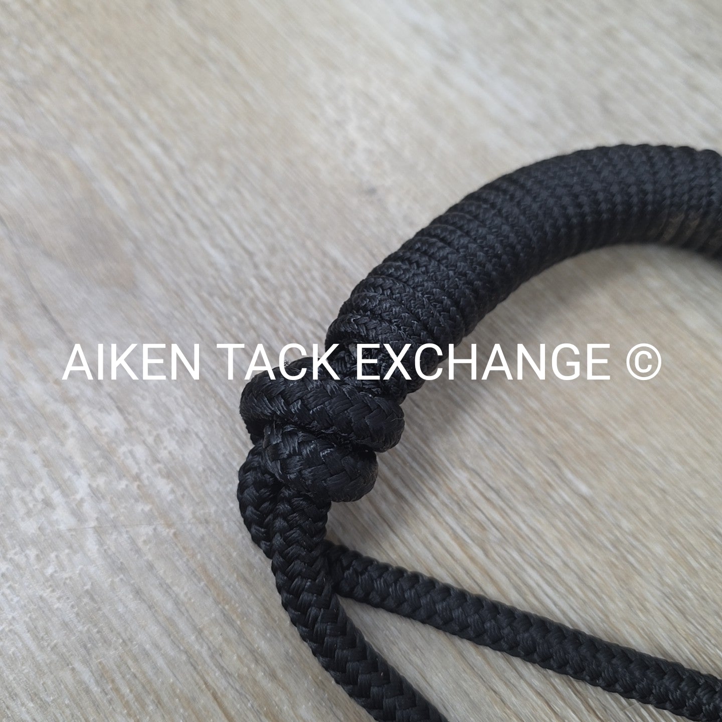 Rope Halter with Lead