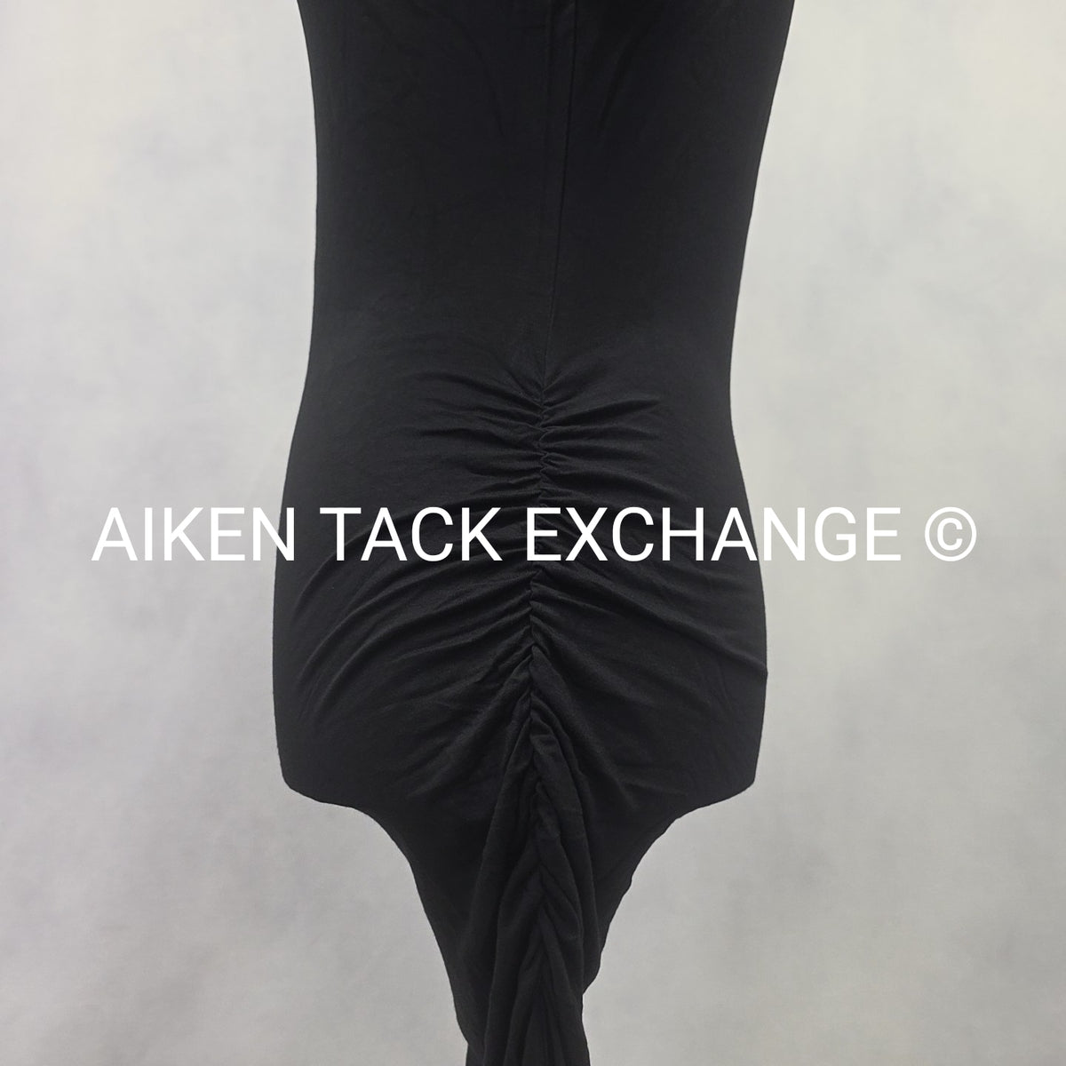 Venus T-Shirt Dress, Size Small