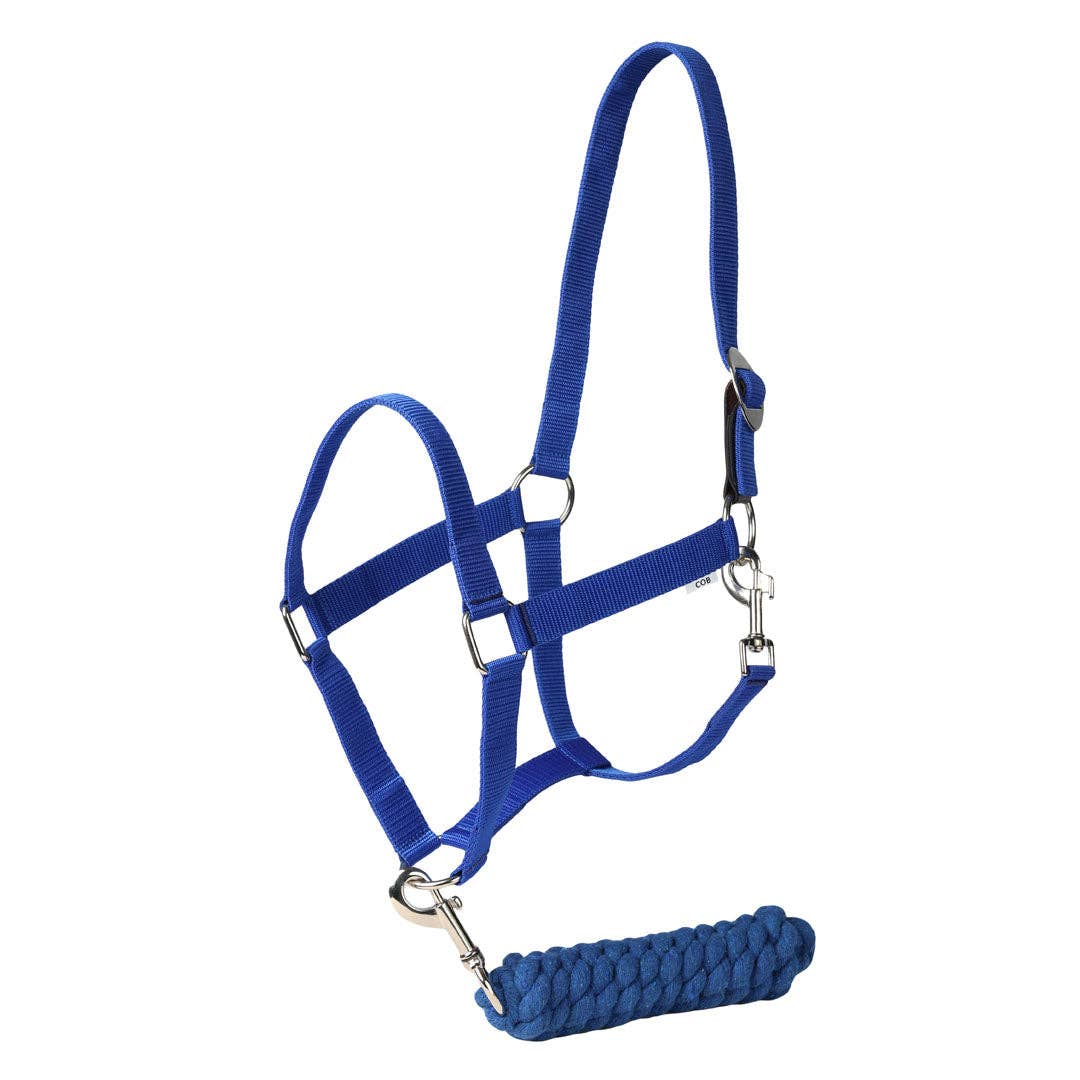 TuffRider Halter And Lead Rope Set With Breakaway Leather: Blue / Horse