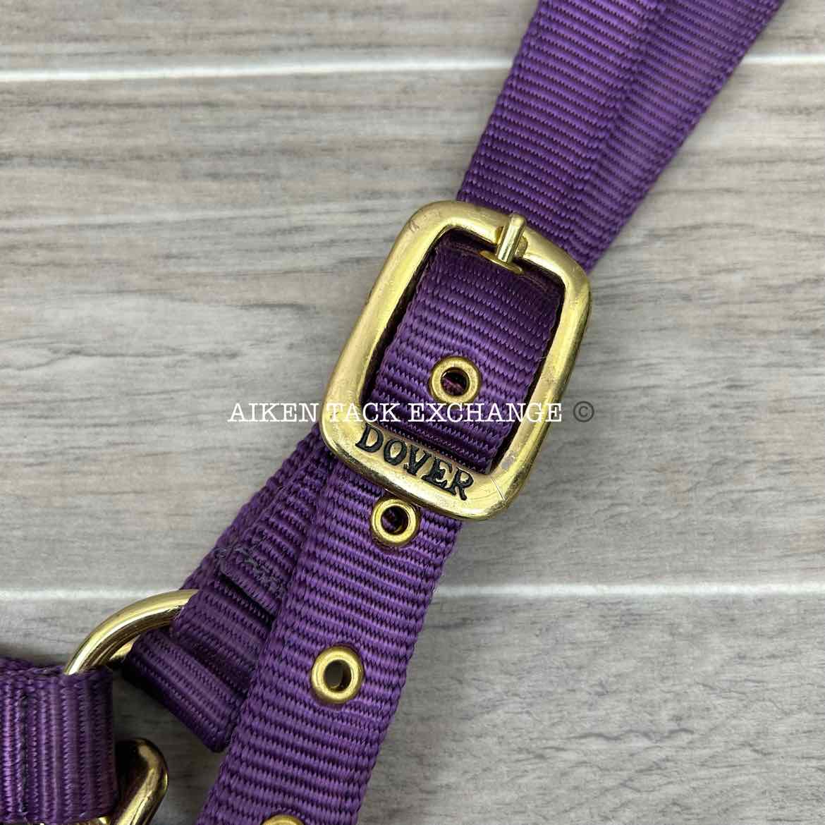 Dover Saddlery Heavy Nylon Halter, Oversize