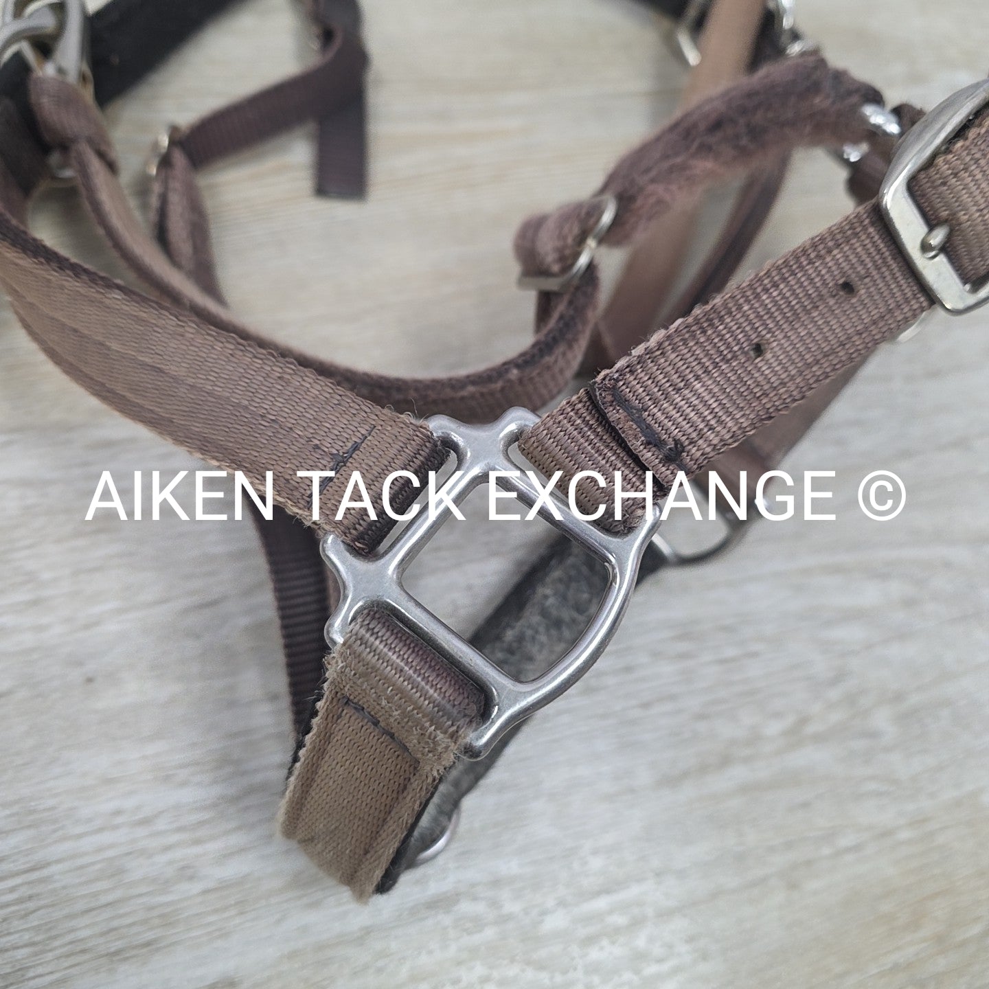 GreenGuard Premium Breakaway Halter, Cob