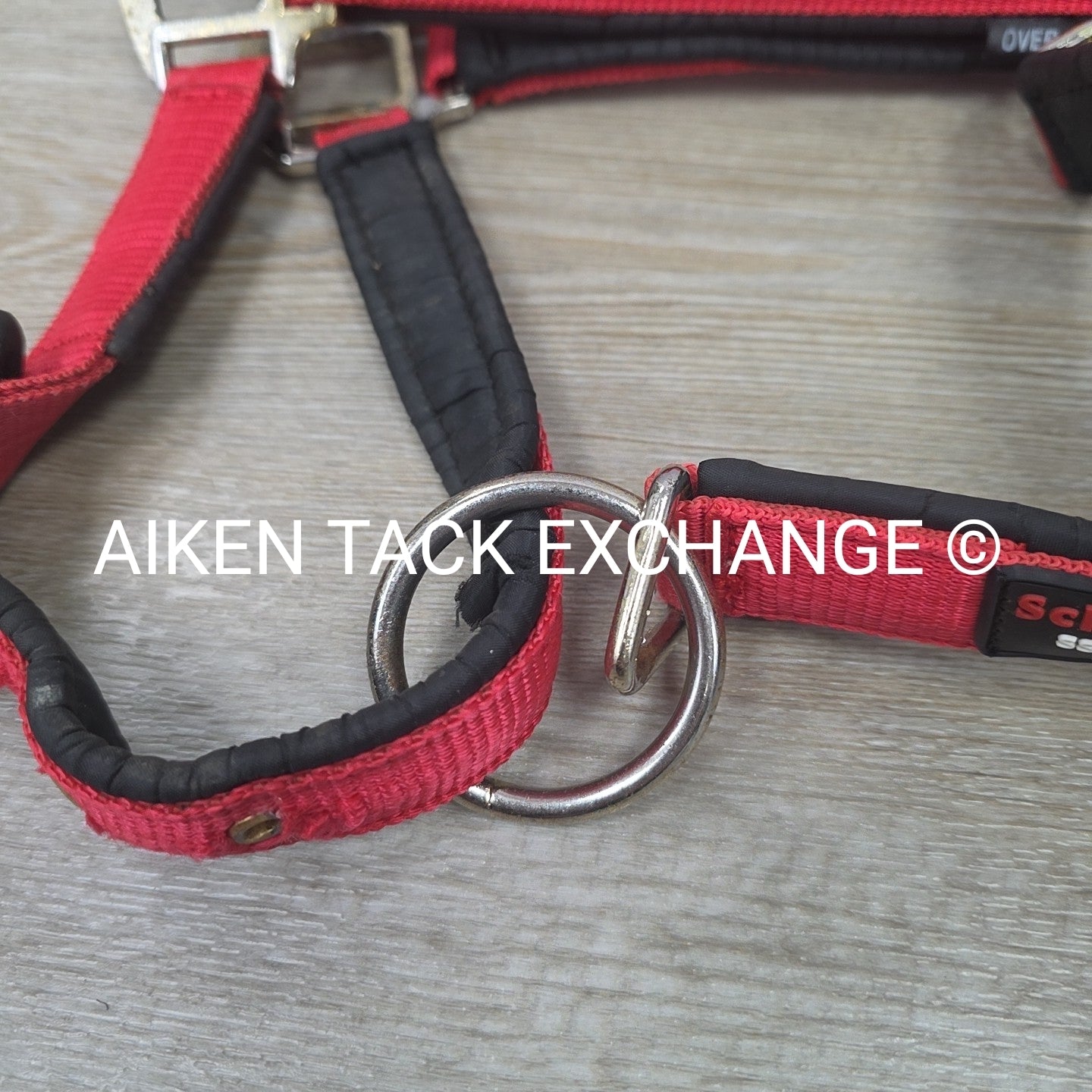 Schneiders Padded Breakaway Halter, Oversize